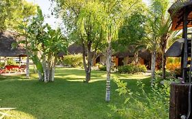 Lion'S Den Guesthouse Otjiwarongo